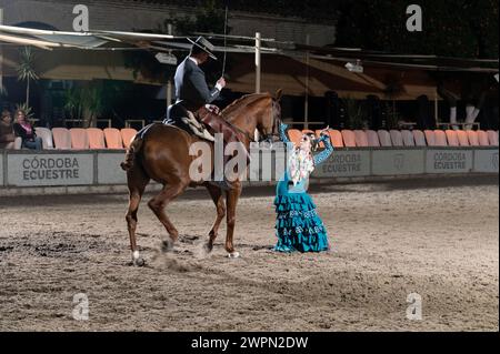 Las Caballerizas Reales de Cordoba (le scuderie reali di Cordoba) nella storica città di Cordoba in Andalusia, Spagna meridionale. Foto Stock