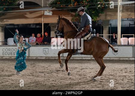 Las Caballerizas Reales de Cordoba (le scuderie reali di Cordoba) nella storica città di Cordoba in Andalusia, Spagna meridionale. Foto Stock