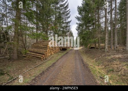 Germania, Sassonia-Anhalt, distretto di Harz, ha accumulato tronchi d'albero (Polter) nel Parco naturale di Harz Foto Stock