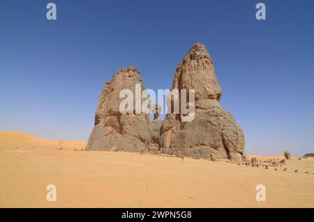 Scultura nella roccia raffigurante la cosiddetta mucca piangente nel deserto algerino del Sahara Foto Stock