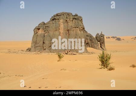 Scultura nella roccia raffigurante la cosiddetta mucca piangente nel deserto algerino del Sahara Foto Stock