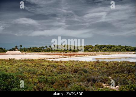 Lago salato di Maiorca, Salines de S'Avall, Cap de Ses Salines, significa fonte di sale, alofite e piante resistenti al sale Foto Stock