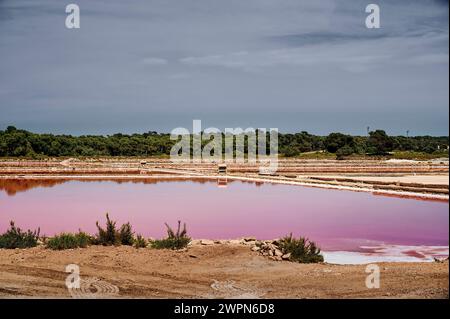 Lago salato di Maiorca, Salines de S'Avall, Cap de Ses Salines, significa fonte di sale, bacino di sale per l'estrazione di Flor de Sal, Halobacterium colora l'acqua di rosso Foto Stock