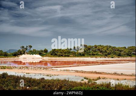 Lago salato di Maiorca, Salines de S'Avall, Cap de Ses Salines, significa fonte di sale, bacino di sale per l'estrazione di Flor de Sal, Halobacterium colora l'acqua di rosso Foto Stock