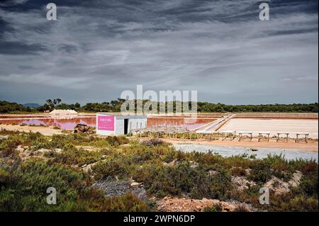 Lago salato a Maiorca, Salines de S'Avall, Cap de Ses Salines, significa fonte di sale, sito di produzione per l'estrazione di Flor de Sal, dall'esterno, l'Halobacterium colora l'acqua di rosso Foto Stock