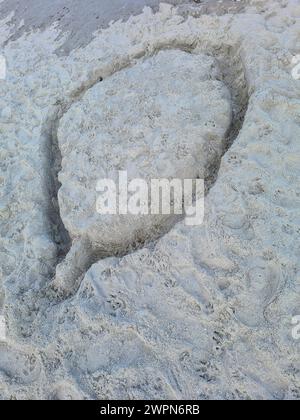Forma simbolica come una pera costruita nella sabbia sulla luminosa spiaggia di sabbia di Prerow, in Germania Foto Stock