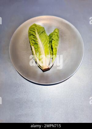 Cuore di lattuga, piccola lattuga romaina, foglie di insalata verde intere su un piatto Foto Stock