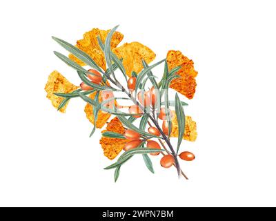 Foglie di Gingko dorate e Buckthorn marino arancione. Bouquet con frutti di bosco maturi e ramoscello biloba. Illustrazione acquerello per la progettazione dell'invito Foto Stock