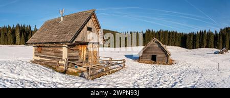 Pokljuka è un altopiano alpino nel nord-ovest della Slovenia. Si trova nel Parco Nazionale del Triglav nelle Alpi Giulie a circa 1300 m sul livello del mare. Foto Stock