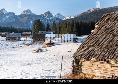 Pokljuka è un altopiano alpino nel nord-ovest della Slovenia. Si trova nel Parco Nazionale del Triglav nelle Alpi Giulie a circa 1300 m sul livello del mare. Foto Stock