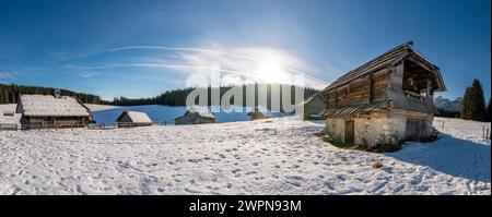Pokljuka è un altopiano alpino nel nord-ovest della Slovenia. Si trova nel Parco Nazionale del Triglav nelle Alpi Giulie a circa 1300 m sul livello del mare. Foto Stock