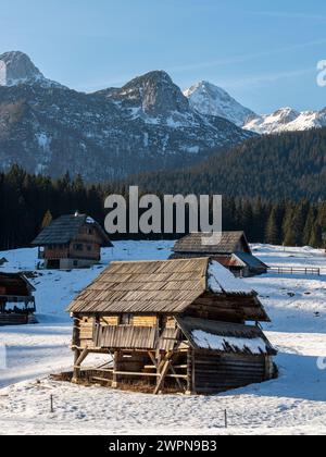 Pokljuka è un altopiano alpino nel nord-ovest della Slovenia. Si trova nel Parco Nazionale del Triglav nelle Alpi Giulie a circa 1300 m sul livello del mare. Foto Stock