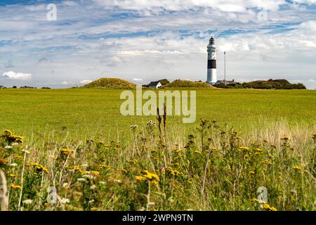 Faro bianco e nero di Langer Christian vicino a Kampen, isola di Sylt, distretto della Frisia settentrionale, Schleswig-Holstein, Germania, Europa Foto Stock