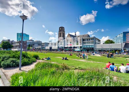 Area verde presso il mercato, chiesa di Saint Laurens, quartiere cittadino, area verde, vista casa, architettura, vista città, Rotterdam, Paesi Bassi, Foto Stock