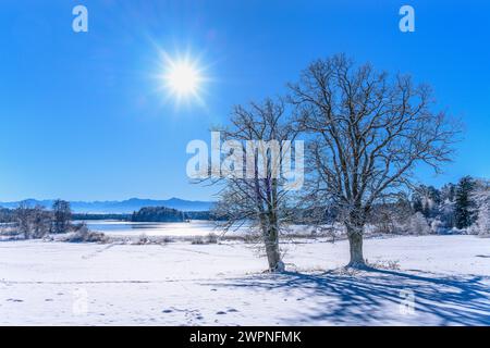 Germania, Baviera, Pfaffenwinkel, Iffeldorf, Großer Ostersee, vista a Gut Aiderbichl verso le colline pedemontane delle Alpi Foto Stock