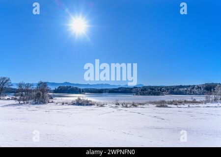 Germania, Baviera, Pfaffenwinkel, Iffeldorf, Großer Ostersee, vista a Gut Aiderbichl verso le Alpi Foto Stock