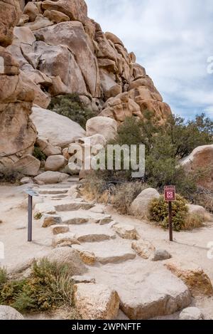 Scalini rocciosi irregolari conducono all'ingresso dell'Hidden Valley Nature Trail, un percorso educativo adatto alle famiglie e facile escursione nel Joshua Tree National Park. Foto Stock