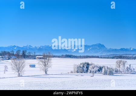 Germania, Baviera, Tölzer Land, Egling, distretto Ergertshausen, paesaggio invernale sulle Alpi, vista vicino a Schönberg Foto Stock