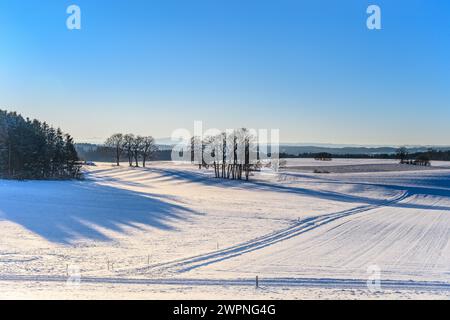 Germania, Baviera, Terra di Tölzer, Münsing, paesaggio invernale nei pressi di Attenkam, vista a ovest con Hohen Peißenberg Foto Stock