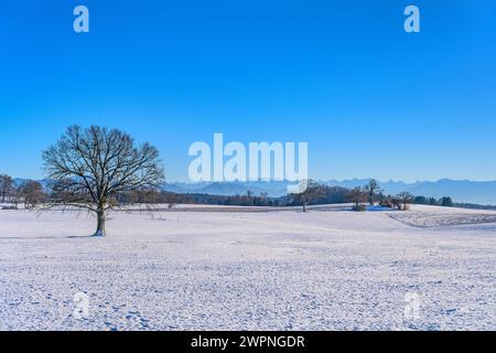 Germania, Baviera, Terra di Tölzer, Münsing, paesaggio invernale contro le Alpi Foto Stock