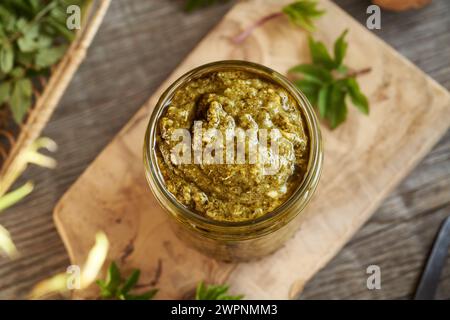 Pesto verde fatto in casa fatto di giovani foglie d'alga - una pianta commestibile selvatica raccolta all'inizio della primavera Foto Stock