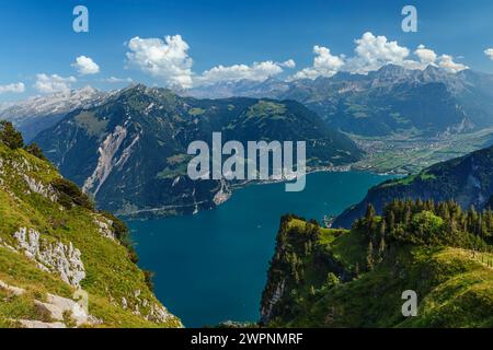 Vista da Niederbauen Kulm (1923 m) a Bristenstock e Flüelen, lago di Lucerna, Canton Uri, Svizzera Foto Stock