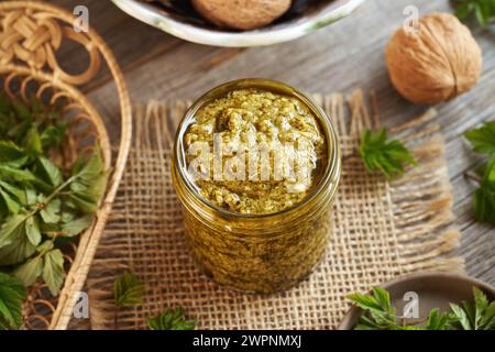 Pesto verde fatto in casa fatto di giovani foglie di goutweed - una pianta commestibile selvatica raccolta all'inizio della primavera Foto Stock