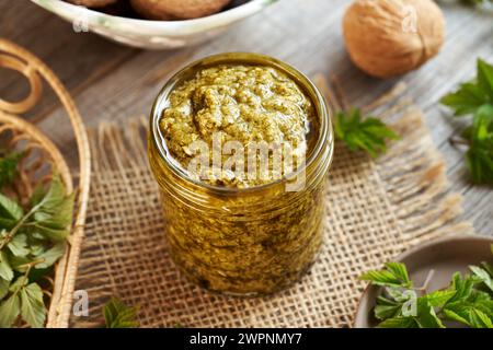 Pesto verde fatto in casa fatto di giovani foglie d'alga - una pianta commestibile selvatica raccolta all'inizio della primavera Foto Stock