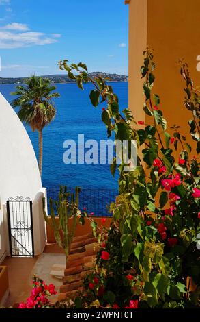 Maiorca, Cala Fornells, vista sul mare, bouganville, muro giallo della casa, palma Foto Stock