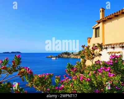 Maiorca, Cala Fornells, mare, baia, barca, fiori viola, muro di casa giallo Foto Stock