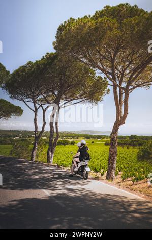 Giovane coppia su uno scooter su una piccola strada laterale costeggiata da pini vicino a Saint-Tropez, Costa Azzurra, nel sud della Francia. Vista su un vigneto verso il mare in una luminosa giornata primaverile. Foto Stock