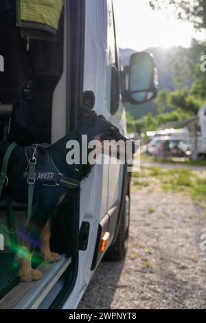 Gita in camper al lago di Caldaro in alto Adige con un cane Foto Stock