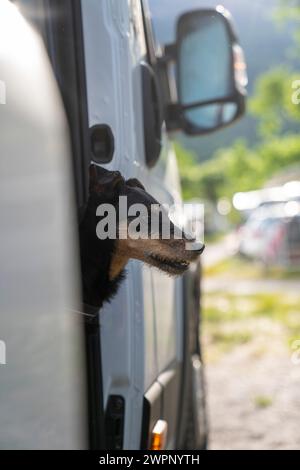 Gita in camper al lago di Caldaro in alto Adige con un cane Foto Stock