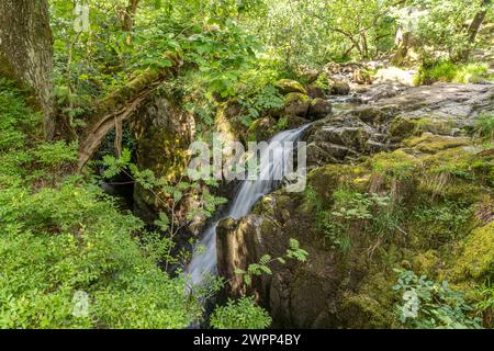 Cascata sul fiume Aira Beck nel Lake District, Inghilterra, Gran Bretagna, Europa Foto Stock