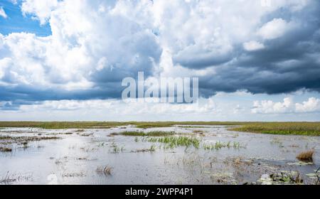 Cieli nuvolosi sopra le praterie aperte delle Everglades della Florida Foto Stock