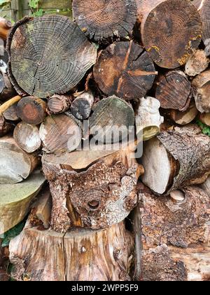 Pelo di legno indifferenziato con grandi fette di alberi e piccoli tronchi di alberi immagazzinati uno sopra l'altro, Berlino, Germania Foto Stock