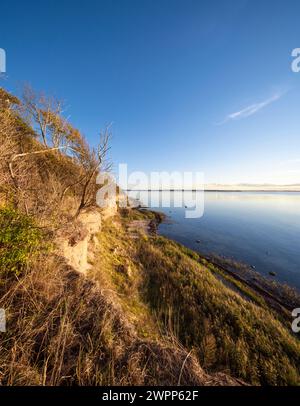 Costa ripida vicino a Timmendorf, isola di Poel nel Mar Baltico, Meclemburgo-Pomerania occidentale, Germania Foto Stock