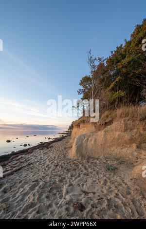 Costa ripida vicino a Timmendorf, isola di Poel nel Mar Baltico, Meclemburgo-Pomerania occidentale, Germania Foto Stock