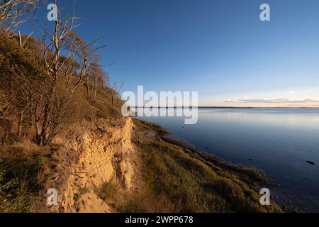 Costa ripida vicino a Timmendorf, isola di Poel nel Mar Baltico, Meclemburgo-Pomerania occidentale, Germania Foto Stock