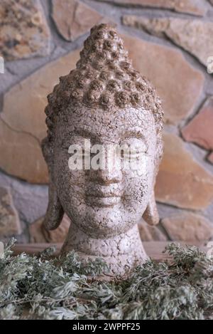Testa di Buddha beige con una finitura scricchiolata, rami di pennello intorno alla sua base, un muro di roccia dietro di essa. Foto Stock