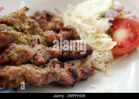 Primo piano di Sate Klathak o Klatak Satay, un tradizionale satay di capra di Yogyakarta, Indonesia. Foto Stock