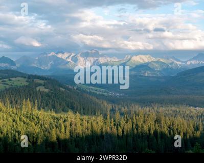 Splendido paesaggio dei Monti Tatra con una lussureggiante foresta verde in primo piano sotto un bellissimo cielo nuvoloso, pomeriggio, la montagna polacca Tatra Foto Stock