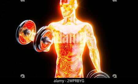 Uomo che fa dei ricci bicipali, illustrazione. Foto Stock