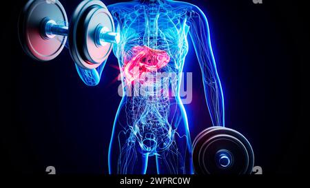 Donna che fa dei ricci bicipali, illustrazione Foto Stock