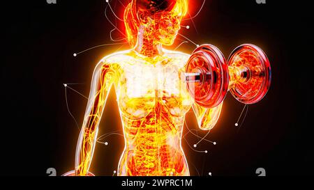 Donna che fa dei ricci bicipali, illustrazione. Foto Stock