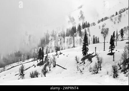 Paesaggio innevato, monti PIR Panjal, Kungdoor, Gulmarg, Baramulla, Kashmir, Jammu e Kashmir, India, Asia Foto Stock