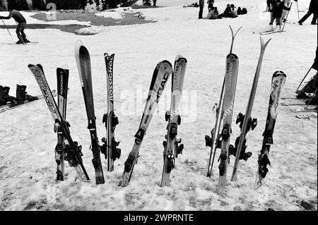 Rossignol Skis, Kungdoor, Gulmarg, Baramulla, Kashmir, Jammu e Kashmir, India, Asia Foto Stock