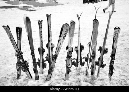 Rossignol Skis, Kungdoor, Gulmarg, Baramulla, Kashmir, Jammu e Kashmir, India, Asia Foto Stock