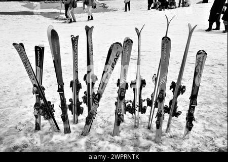 Rossignol Skis, Kungdoor, Gulmarg, Baramulla, Kashmir, Jammu e Kashmir, India, Asia Foto Stock