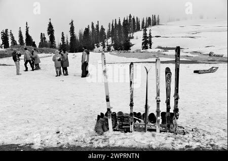 Atomic Skis, Kungdoor, Gulmarg, Baramulla, Kashmir, Jammu e Kashmir, India, Asia Foto Stock